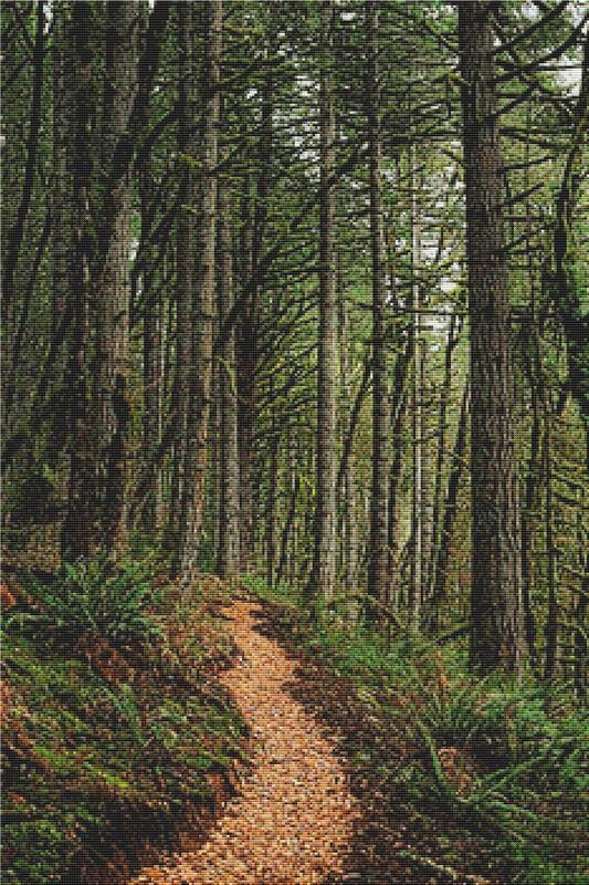 Trail Through The Forest - X Squared Cross Stitch