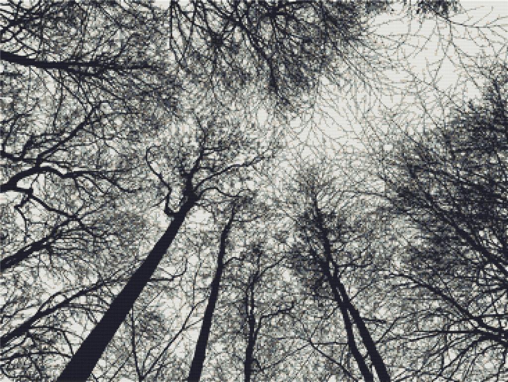 Forest Canopy Silhouette - X Squared Cross Stitch