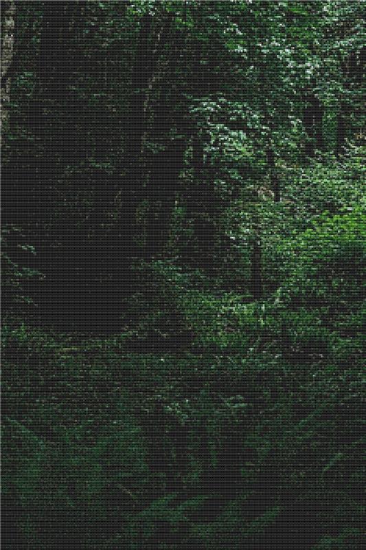 Pacific Northwest Forest - X Squared Cross Stitch