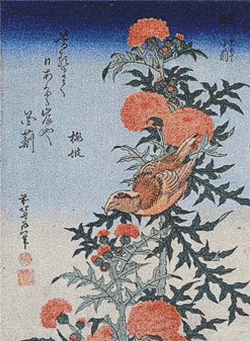 Crossbill And Thistle - X Squared Cross Stitch