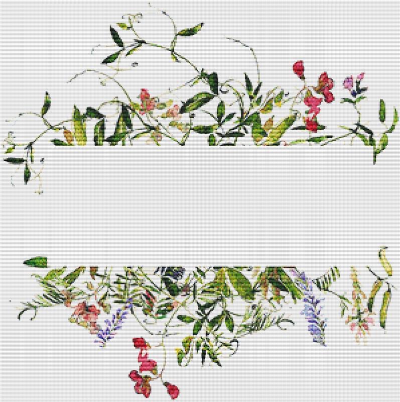 Midsummer Frame - X Squared Cross Stitch