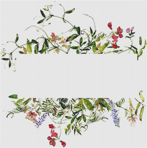 Midsummer Frame - X Squared Cross Stitch