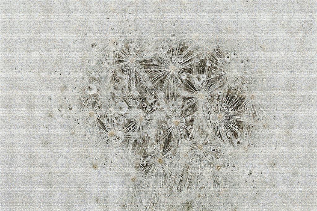 Dandelion - X Squared Cross Stitch