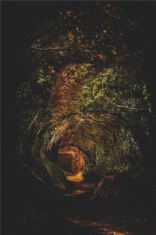 Old Forest Tree Tunnel - X Squared Cross Stitch