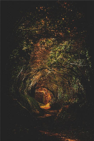 Old Forest Tree Tunnel - X Squared Cross Stitch