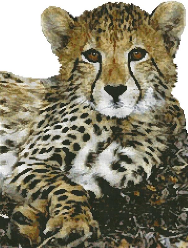 Baby Cheetah (No Background) - Artecy Cross Stitch