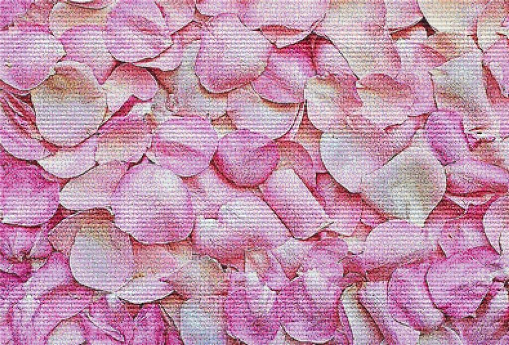 Pink Rose Petals - X Squared Cross Stitch