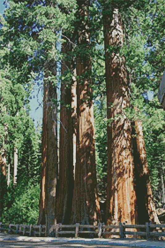 Redwood Trees - Artecy Cross Stitch