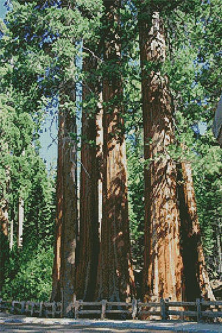 Redwood Trees - Artecy Cross Stitch