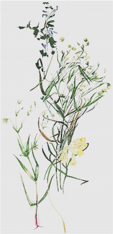 Fresh Floral Arrangement II - X Squared Cross Stitch