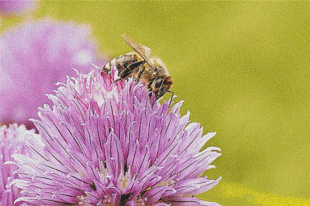 Pollination - X Squared Cross Stitch