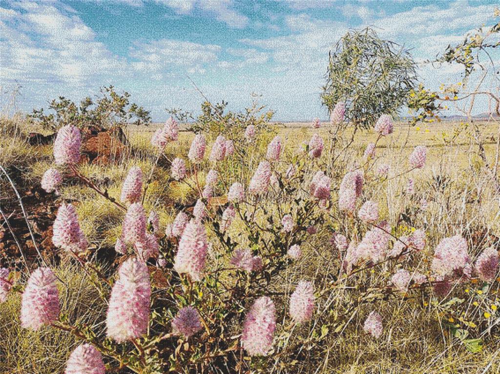 Mulla Mulla In The Pilbara - X Squared Cross Stitch