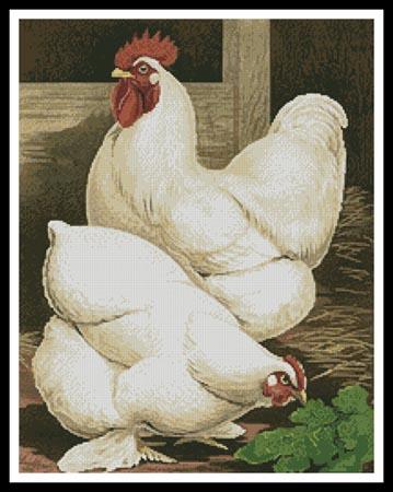 White Cochin Chickens - Artecy Cross Stitch