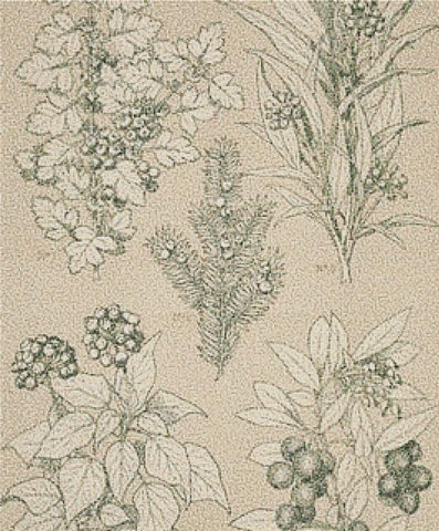 Leaves And Flowers From Nature Ornament No. 7 - X Squared Cross Stitch