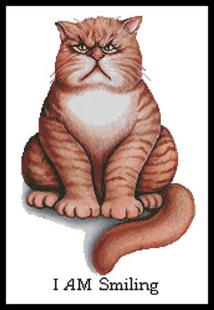 I Am Smiling - Artecy Cross Stitch