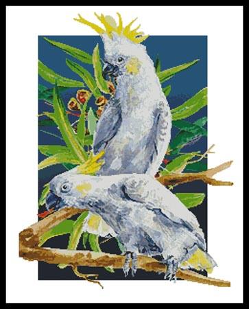 Two Sulfur Crested Cockatoos - Artecy Cross Stitch