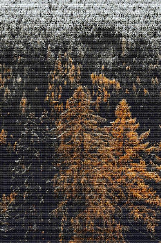 Conifer Forest - X Squared Cross Stitch