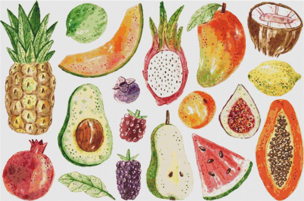 Watercolour Fruit - X Squared Cross Stitch