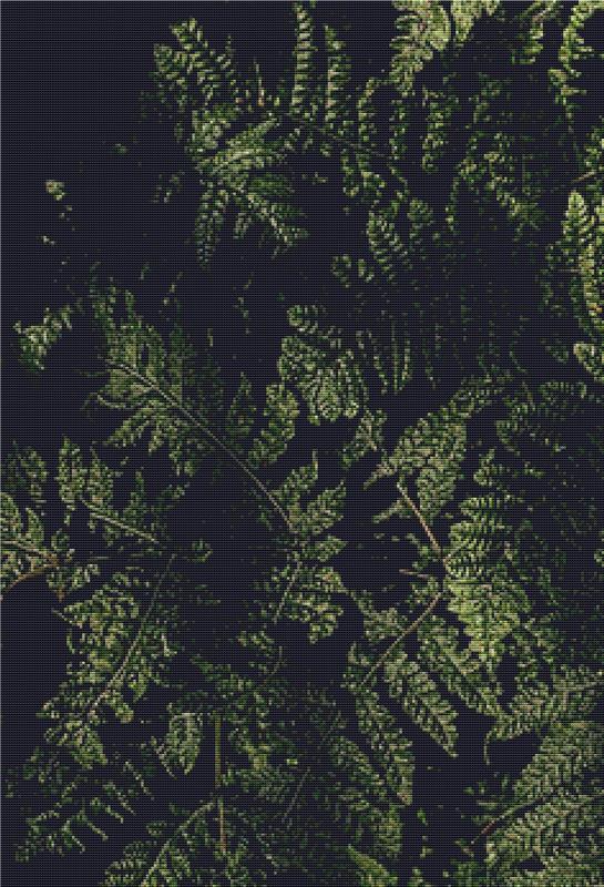 Ferns - X Squared Cross Stitch