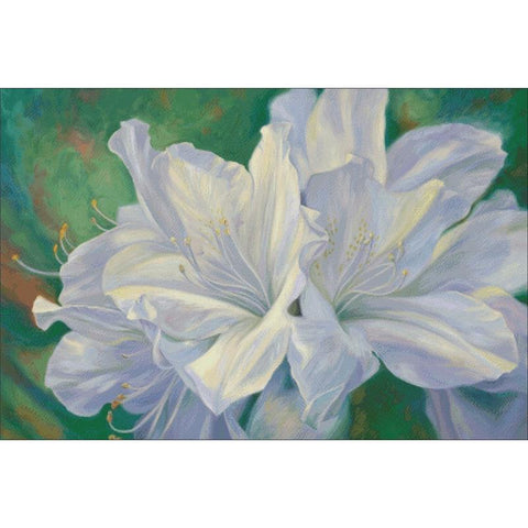 Fleurs Blanches - Charting Creations