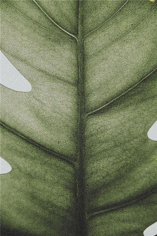 Leaf Macro - X Squared Cross Stitch