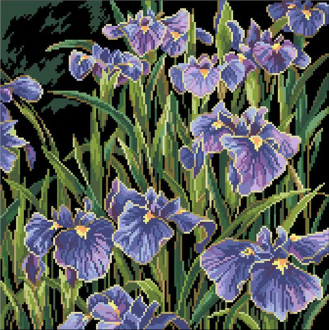 Irises - Kooler Design Studio