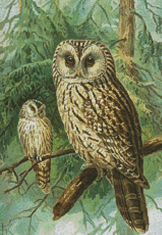 Ural Owl - Artecy Cross Stitch