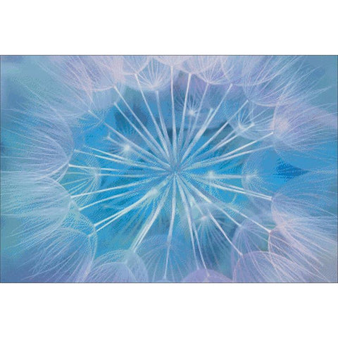 Dandelion Heart - Charting Creations