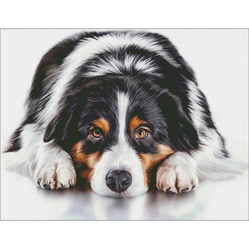 Australian Shepherd - Charting Creations