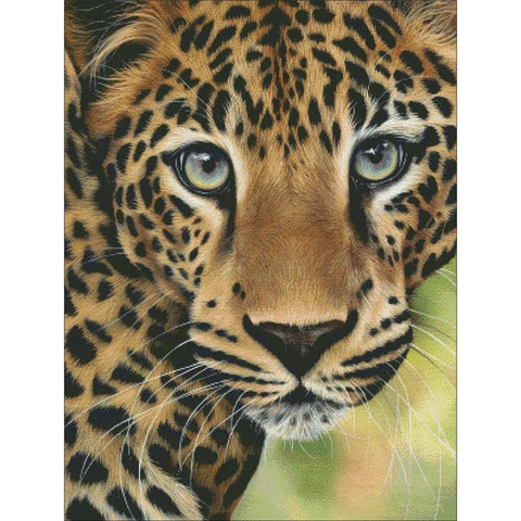 Leopard Close Up - Charting Creations