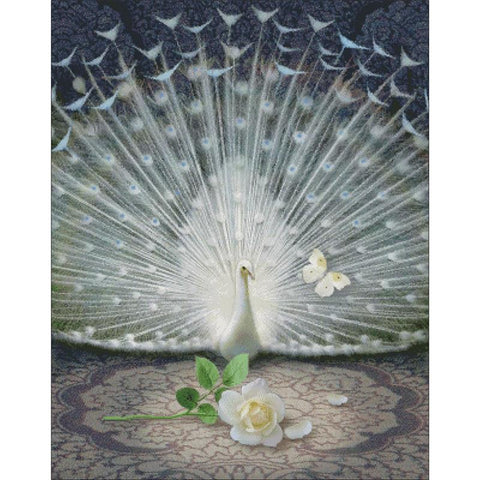 Release: White Peacock - Charting Creations