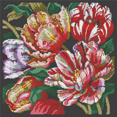 Parrot Tulips - Kooler Design Studio