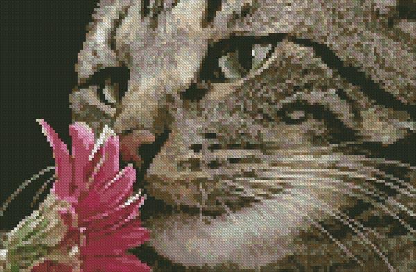 Lucy - Artecy Cross Stitch