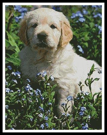 Golden Retriever Forget Me Not - Artecy Cross Stitch
