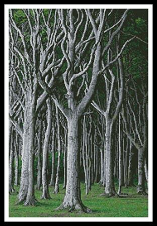 Beech Trees - Artecy Cross Stitch