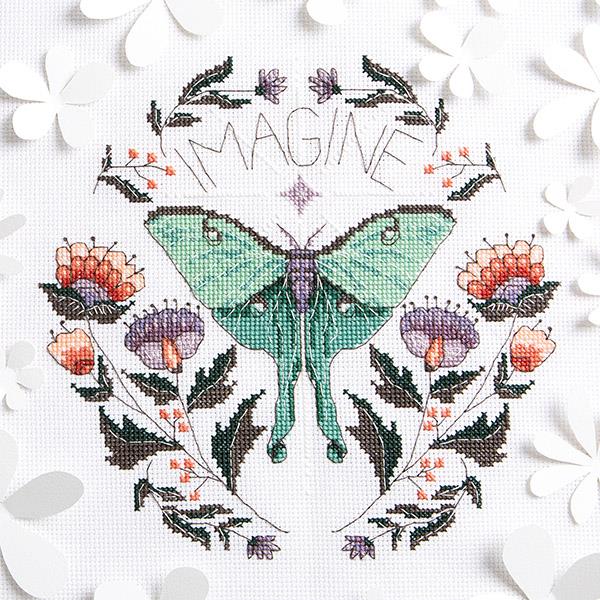 Imagine - Peacock & Fig