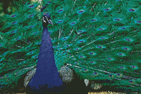 Peacock Photo - Artecy Cross Stitch