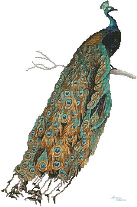 Peacock 2 - Artecy Cross Stitch