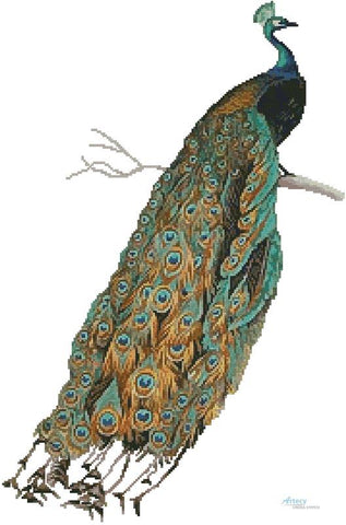 Peacock 2 - Artecy Cross Stitch