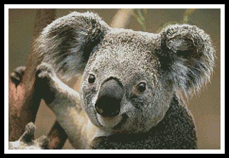 Koala Portrait - Artecy Cross Stitch