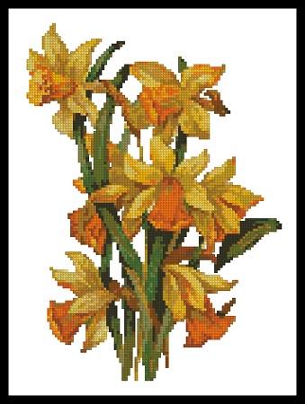 Daffodils - Artecy Cross Stitch