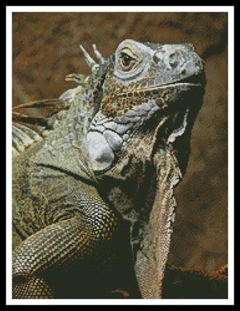 Iguana - Artecy Cross Stitch