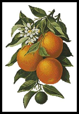Oranges - Artecy Cross Stitch