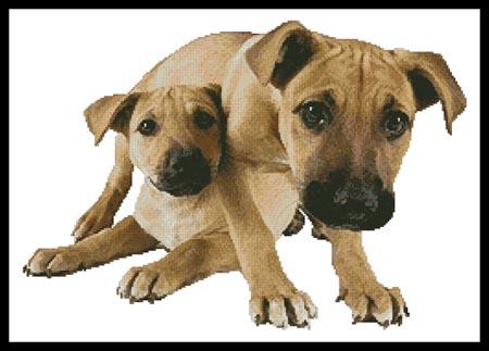 Tan Mastiff Puppies - Artecy Cross Stitch