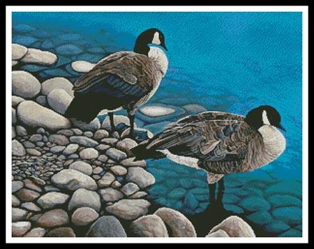 Two Canadian Geese - Artecy Cross Stitch
