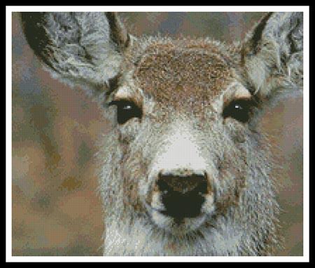 Deer Face - Artecy Cross Stitch