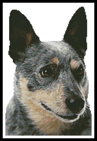 Blue Heeler - Artecy Cross Stitch