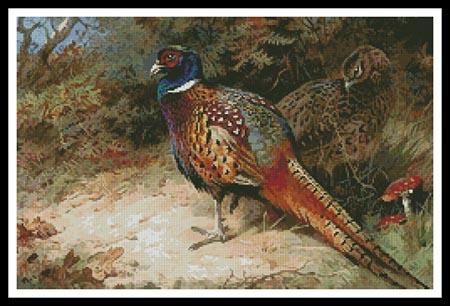Pheasants - Artecy Cross Stitch