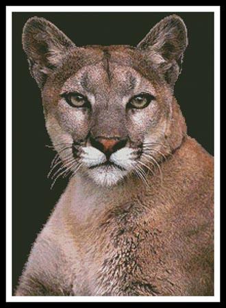 Cougar - Artecy Cross Stitch