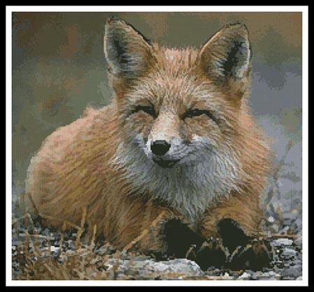 Red Fox Photo - Artecy Cross Stitch